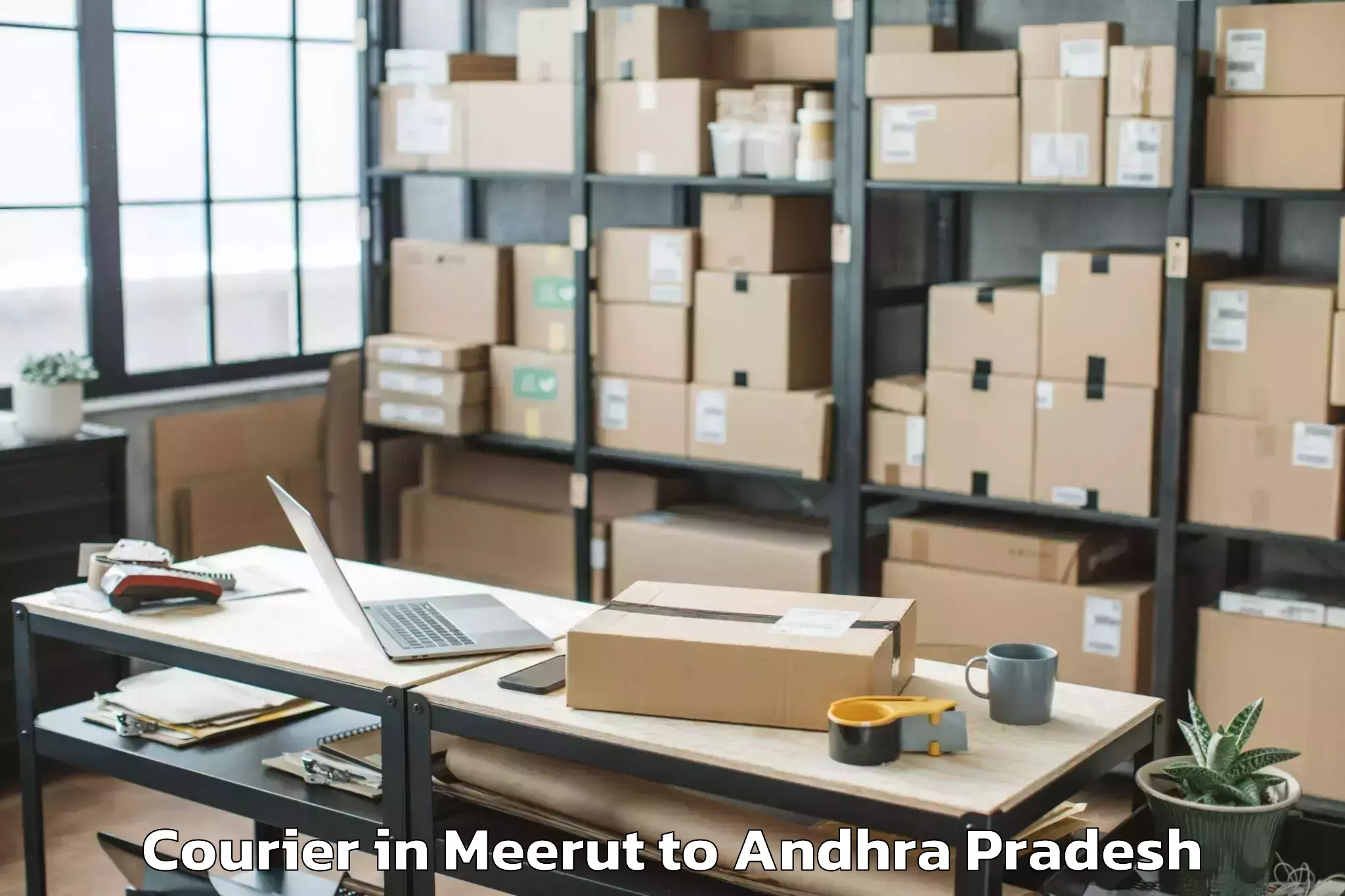 Trusted Meerut to Tallapudi Courier